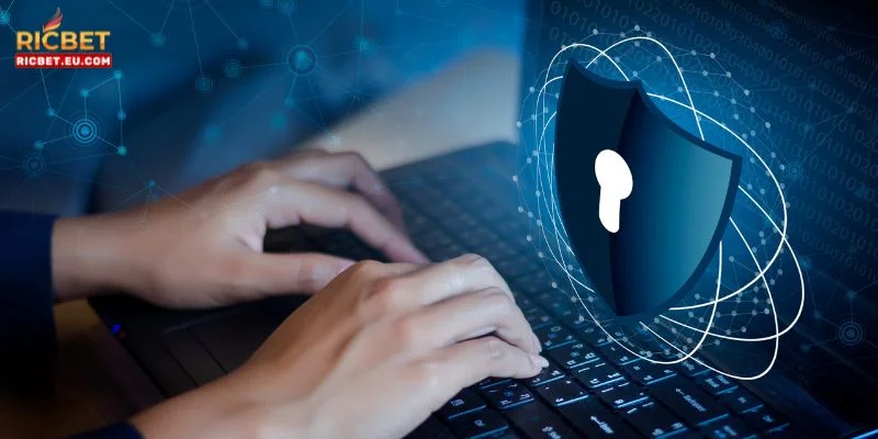 Trách nhiệm người chơi với chính sách bảo mật RICBET.